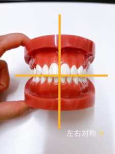 良い歯並び・かみ合わせの基準って何？？
